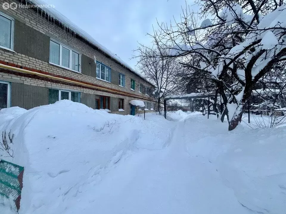 1-комнатная квартира: село Аликово, улица Гагарина, 37 (28.8 м) - Фото 2