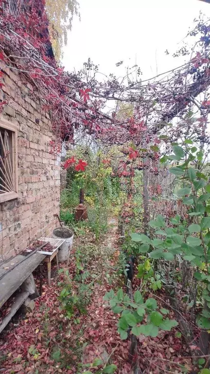 Дача 20м на участке 8,3сот. - Фото 0