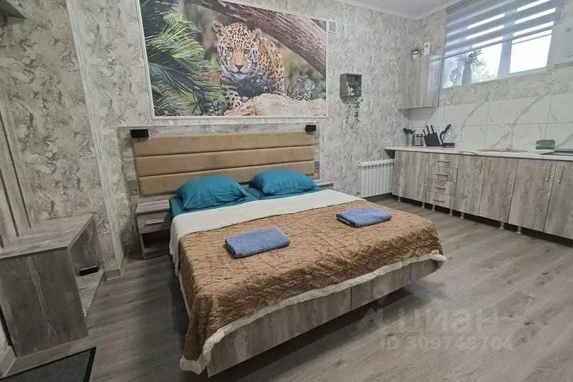 1-к кв. Ростовская область, Шахты просп. Красной Армии, 136 (25.0 м) - Фото 2