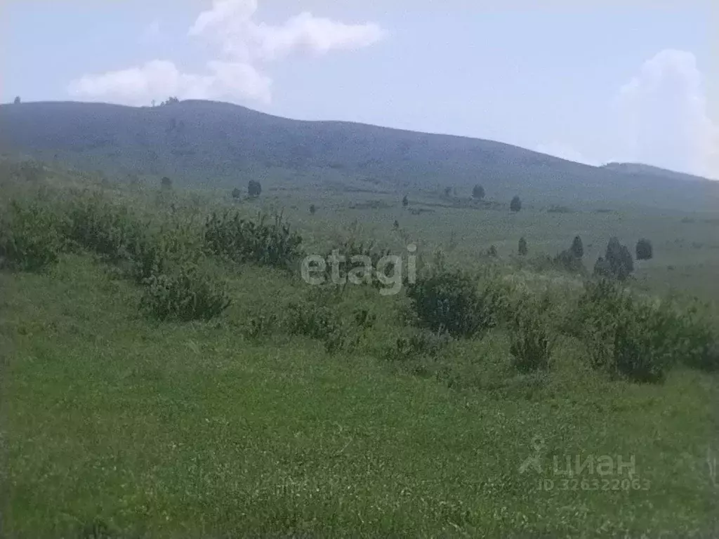Участок в Алтайский край, Усть-Калманский район, с. Слюдянка ... - Фото 1