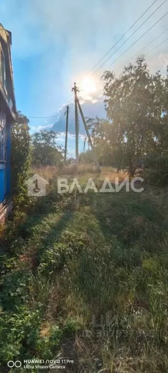 Дом в Воронежская область, Рамонский район, с. Русская Гвоздевка ... - Фото 0