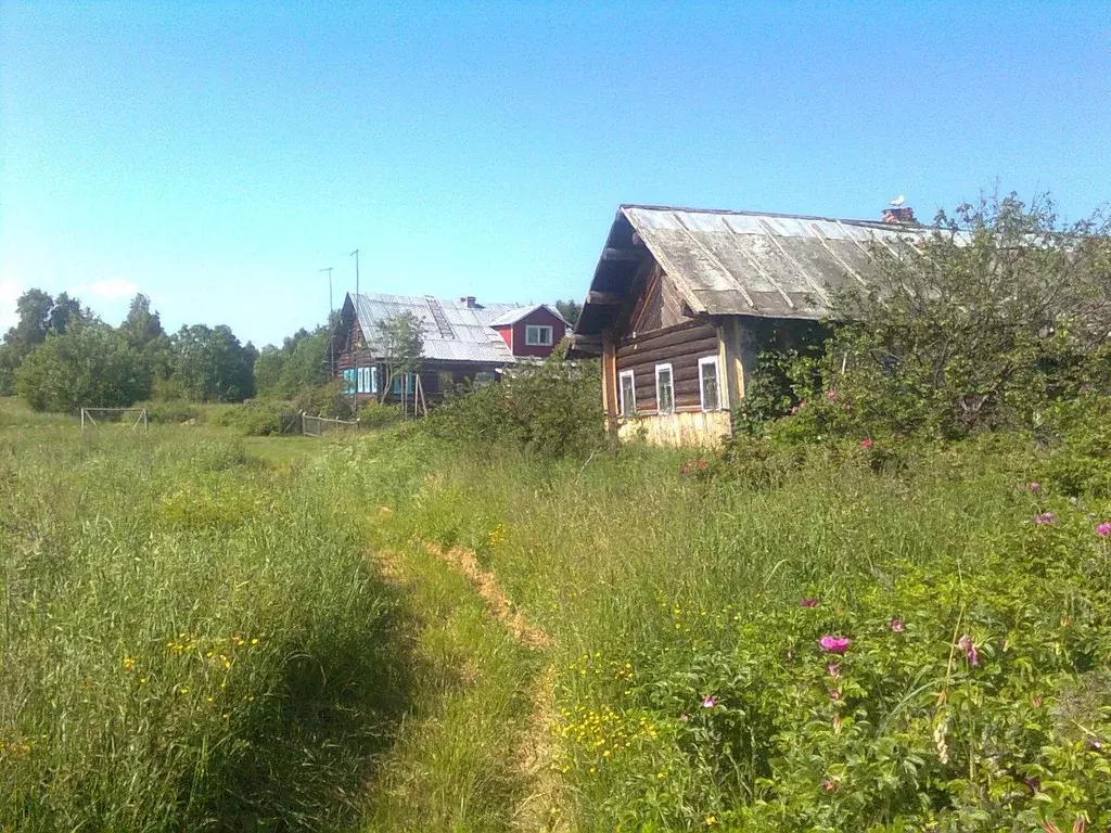 Участок в Карелия, Кондопожский район, Новинское с/пос, д. Лукин ... - Фото 1