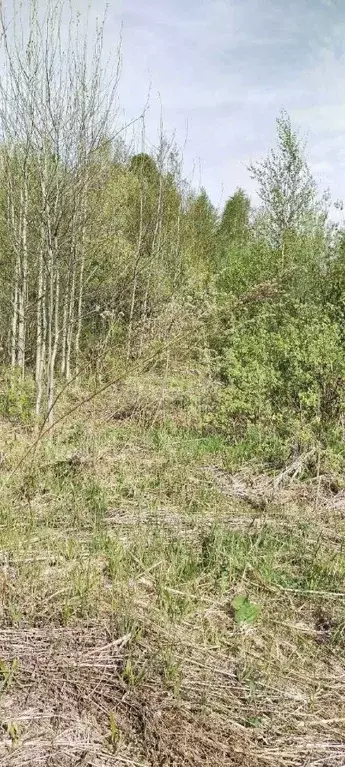 Дом в Ханты-Мансийский АО, Ханты-Мансийск Лесной СОК, 90 (36 м) - Фото 2