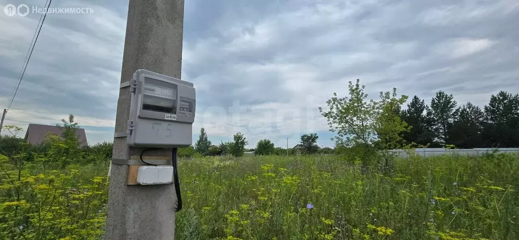 Участок в Булгаковский сельсовет, садовые участки Урал (15 м) - Фото 2