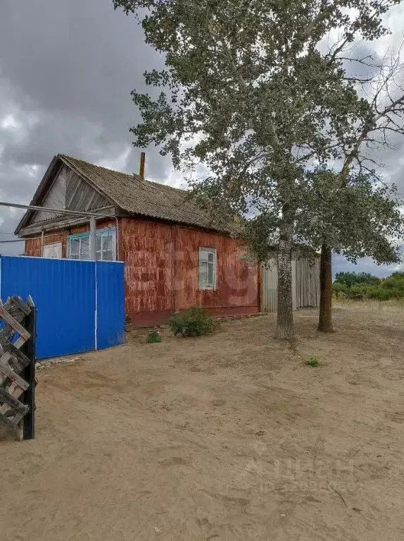Дом в Волгоградская область, Иловлинский район, с. Александровка ... - Фото 2