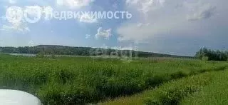 Участок в Колыванский район, ДНТ Сибирская Волость (9 м) - Фото 1