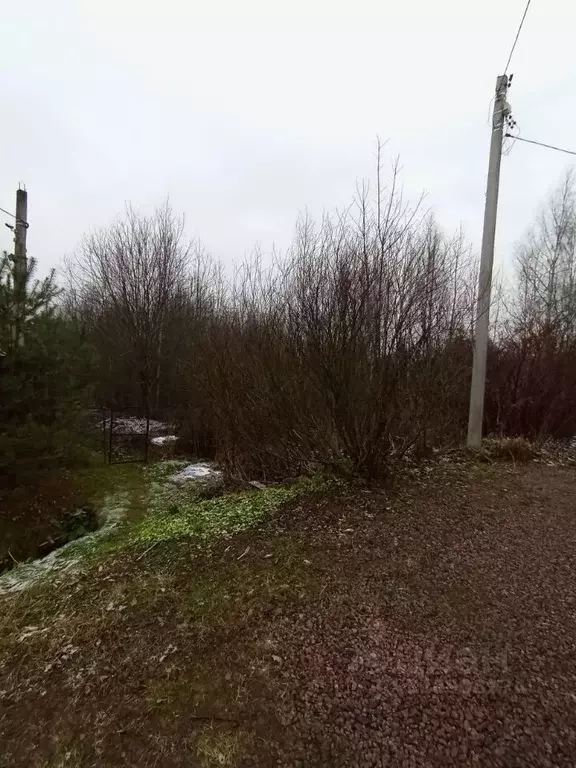 Участок в Санкт-Петербург пос. Парголово, Озерная ул., 45к4 (13.7 ... - Фото 1