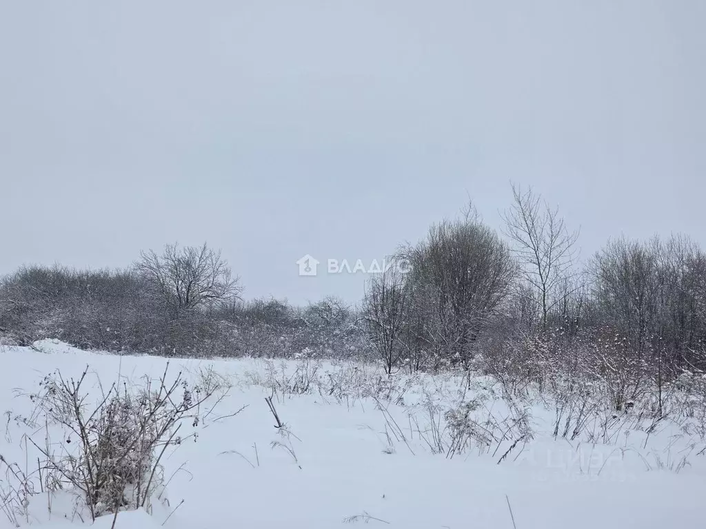 Участок в Владимирская область, Суздальский район, Боголюбовское ... - Фото 1