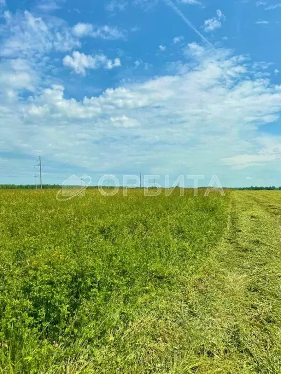 Участок в Тюменская область, Тюменский муниципальный округ, д. Елань ... - Фото 1