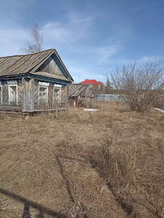 Участок в Самарская область, Красноярский район, с. Старая Бинарадка ... - Фото 1