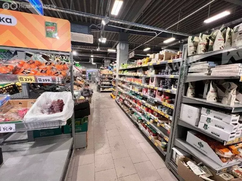 Помещение свободного назначения (385 м) - Фото 2