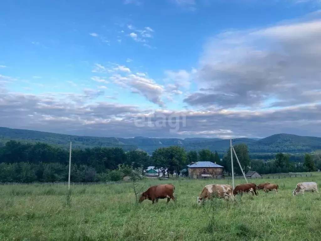 Участок в Башкортостан, Ишимбайский район, с. Макарово Больничная ул. ... - Фото 1