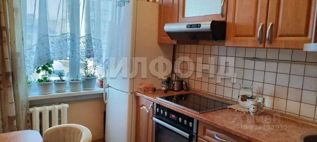 3-к кв. Новосибирская область, Новосибирск Шлюз мкр, ул. Русская, 13 ... - Фото 0