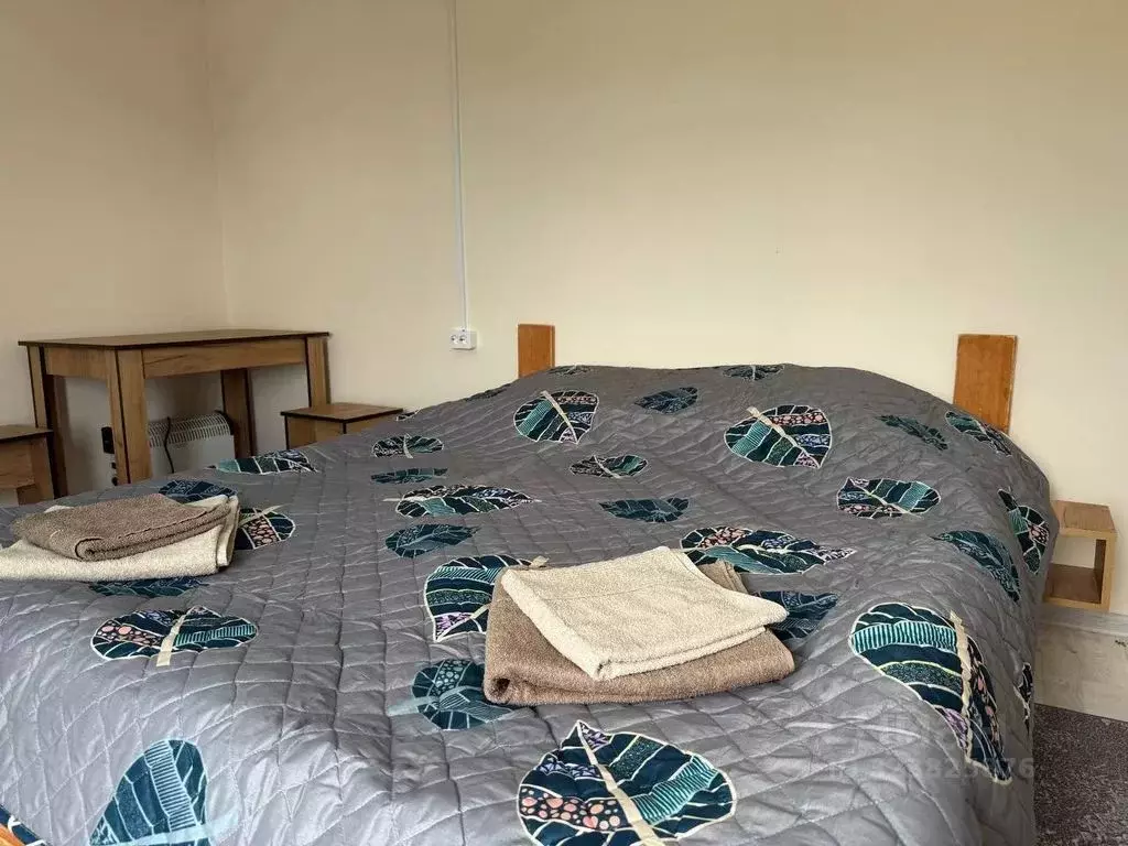 Комната Алтай, Усть-Коксинский район, с. Усть-Кокса Восточная ул., 1Б - Фото 2