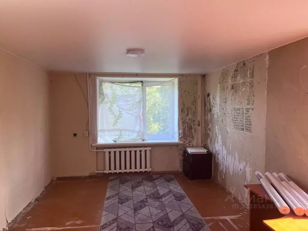 Комната Санкт-Петербург ул. Политрука Пасечника, 17 (20.0 м) - Фото 1