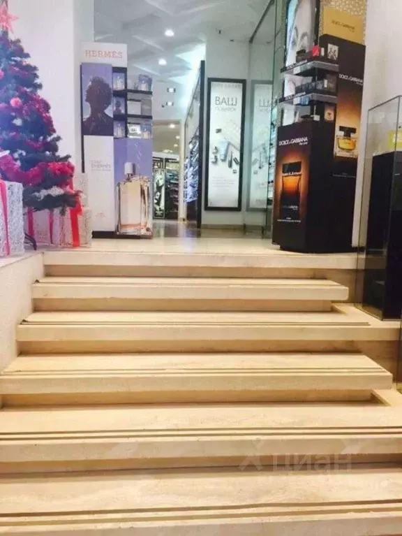 Помещение свободного назначения в Москва Малая Бронная ул., 25 (210 м) - Фото 2