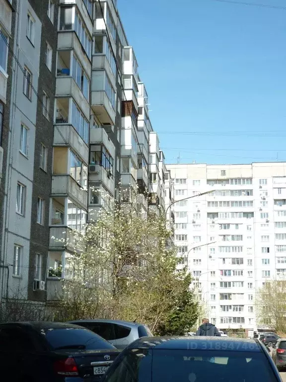 2-к кв. Красноярский край, Красноярск ул. Ладо Кецховели, 39 (53.0 м) - Фото 0