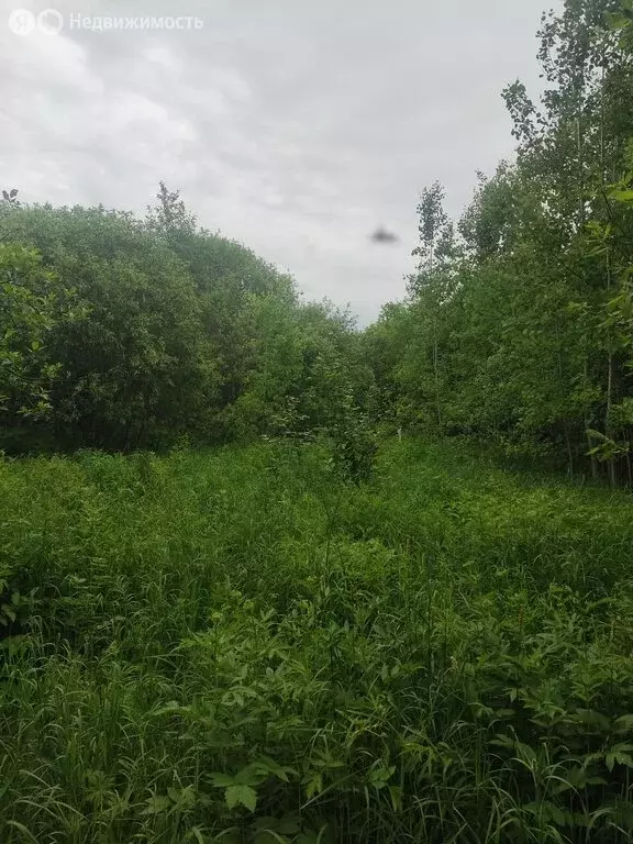 Участок в Ленинградская область, Бокситогорск (20 м) - Фото 0