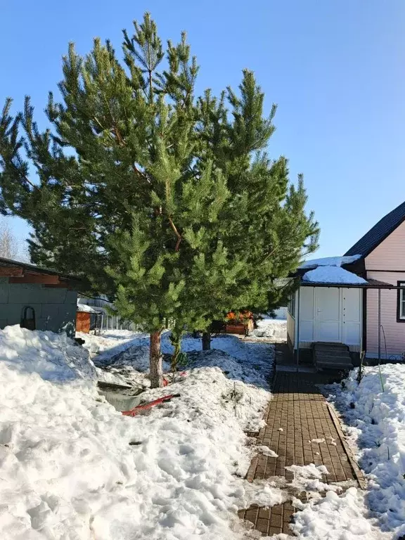 Дом в Московская область, Чехов муниципальный округ, д. Слепушкино 23 ... - Фото 2