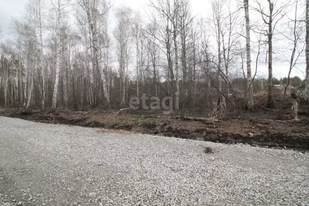 Участок в Свердловская область, Верхняя Пышма городской округ, пос. ... - Фото 0