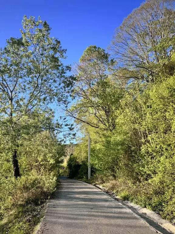 Участок в Краснодарский край, Сочи городской округ, с. Раздольное ул. ... - Фото 1