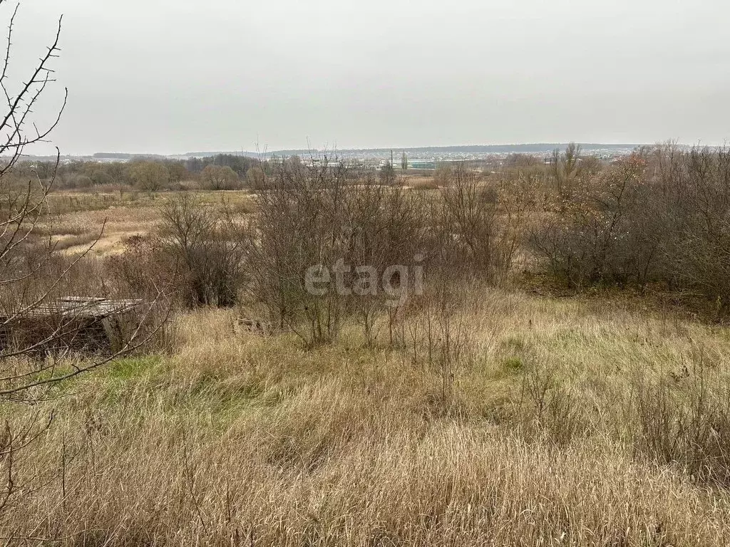 Участок в Белгородская область, Белгородский район, Беловское с/пос, ... - Фото 0