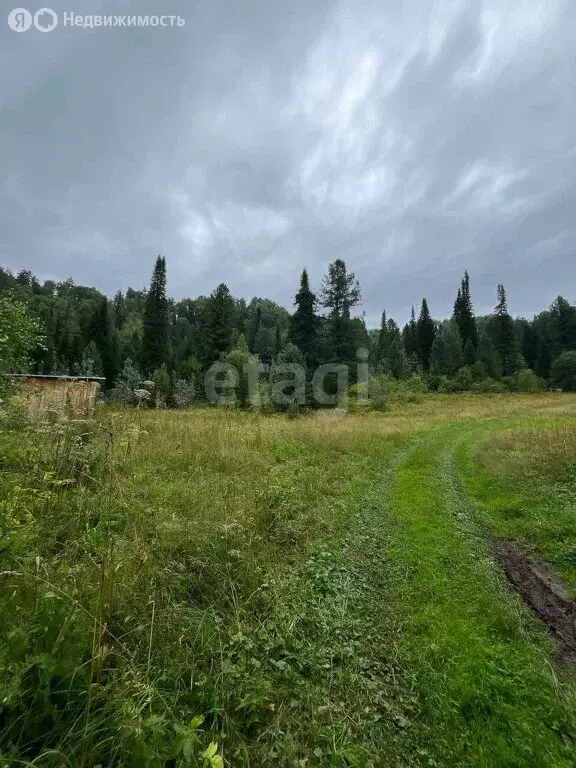 Участок в Горно-Алтайск, улица Бочкарёвка (9.9 м) - Фото 1