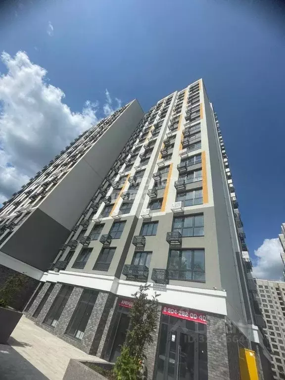 1-к кв. Липецкая область, Липецк ул. Механизаторов (31.78 м) - Фото 1