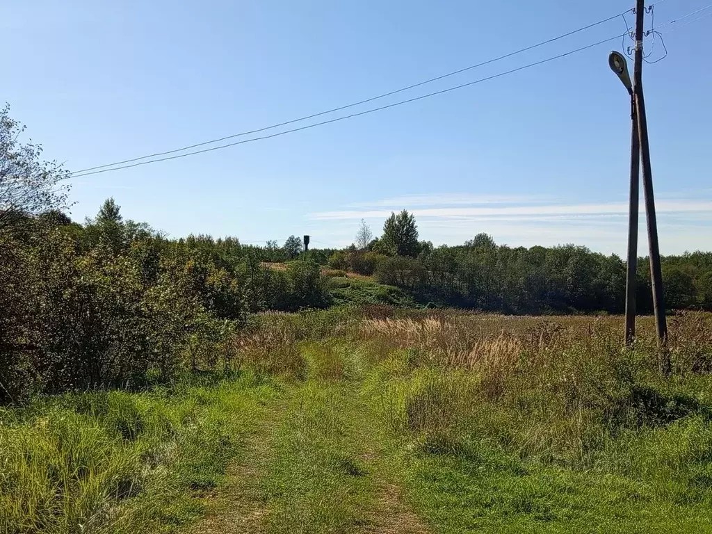 Дом в Ярославская область, Переславль-Залесский муниципальный округ, ... - Фото 1