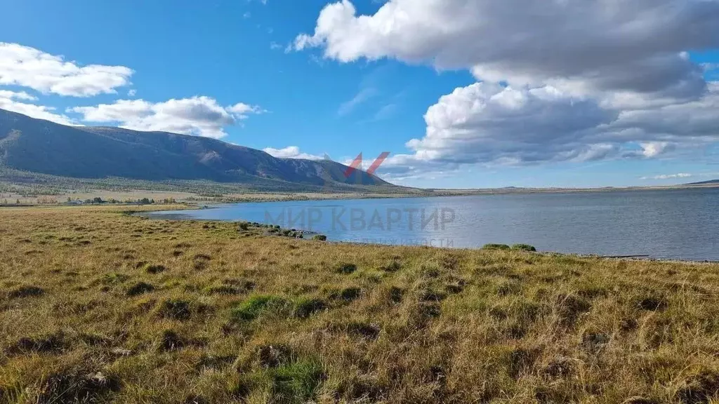 Участок в Тыва, Тандинский кожуун, с. Дурген ул. Шоссейная (74.55 ... - Фото 1