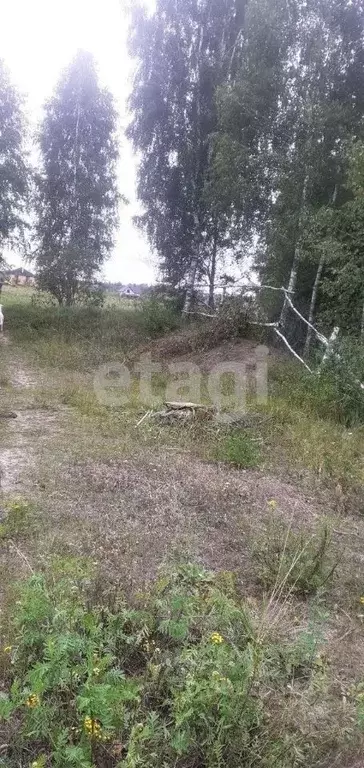 Участок в Брянская область, Брянский район, Супоневское с/пос, д. ... - Фото 1