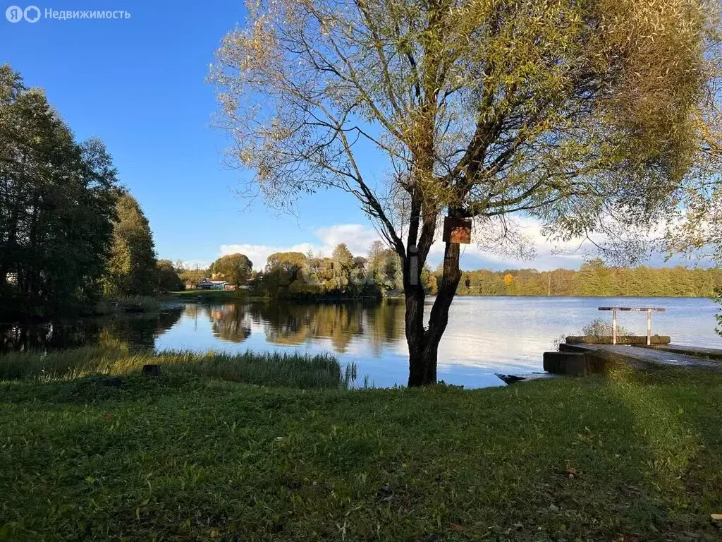 Участок в городской посёлок Будогощь, улица Зелёная Набережная (16 м) - Фото 0