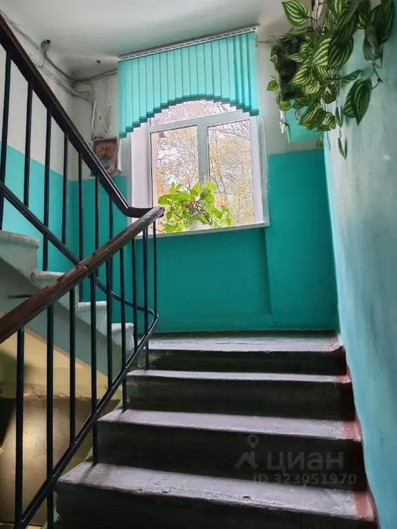 Комната Саратовская область, Саратов Международная ул., 14 (14.0 м) - Фото 2