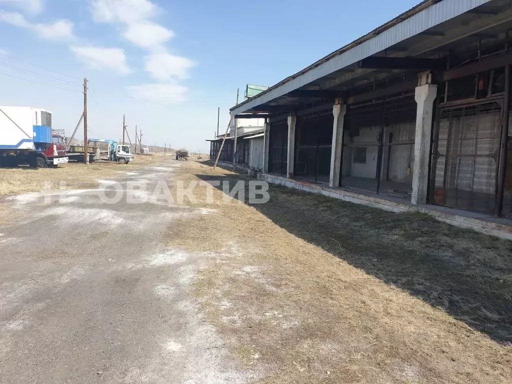 Производственное помещение в Новосибирская область, Чистоозерное рп ... - Фото 1
