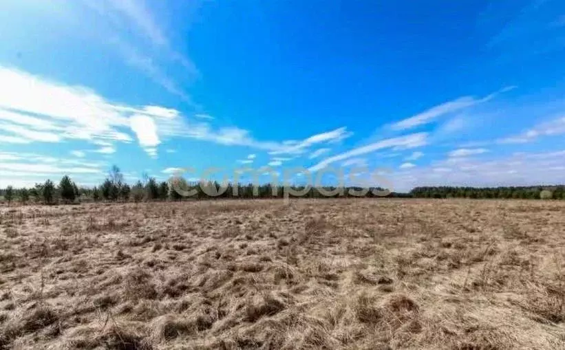 Участок в Тюменская область, Нижнетавдинский район, д. Красный Яр  ... - Фото 0