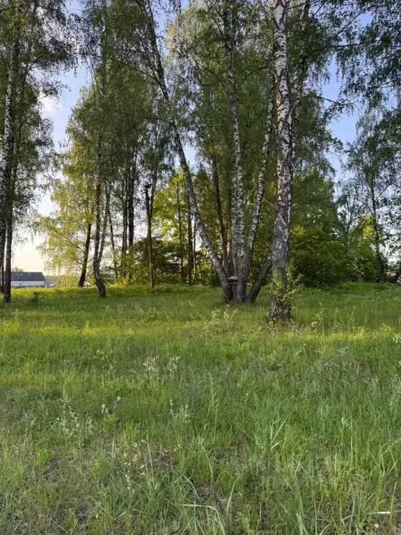 Участок в Брянская область, Брянский район, Новодарковичское с/пос, д. ... - Фото 0
