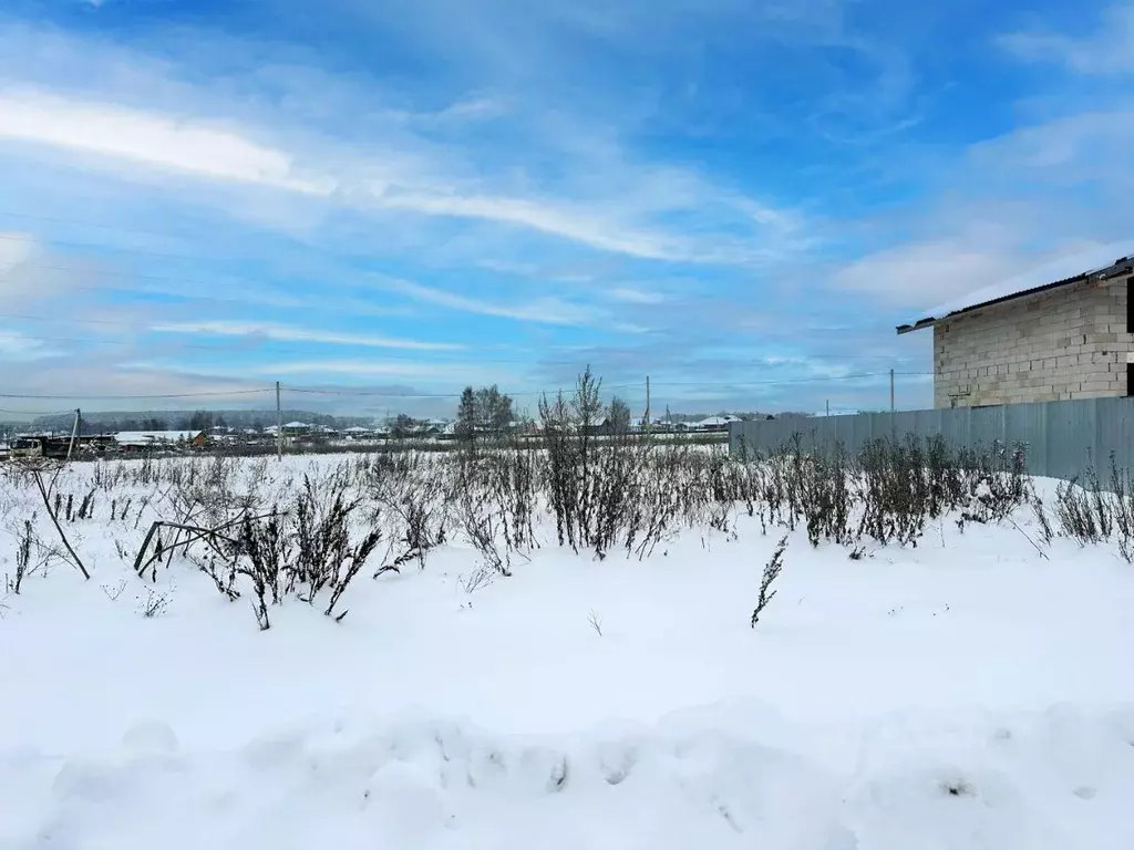 Участок в Московская область, Домодедово городской округ, с. ... - Фото 2