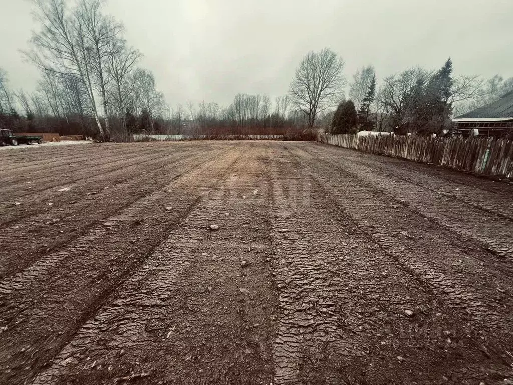 Участок в Ярославская область, Рыбинский муниципальный округ, с. ... - Фото 2