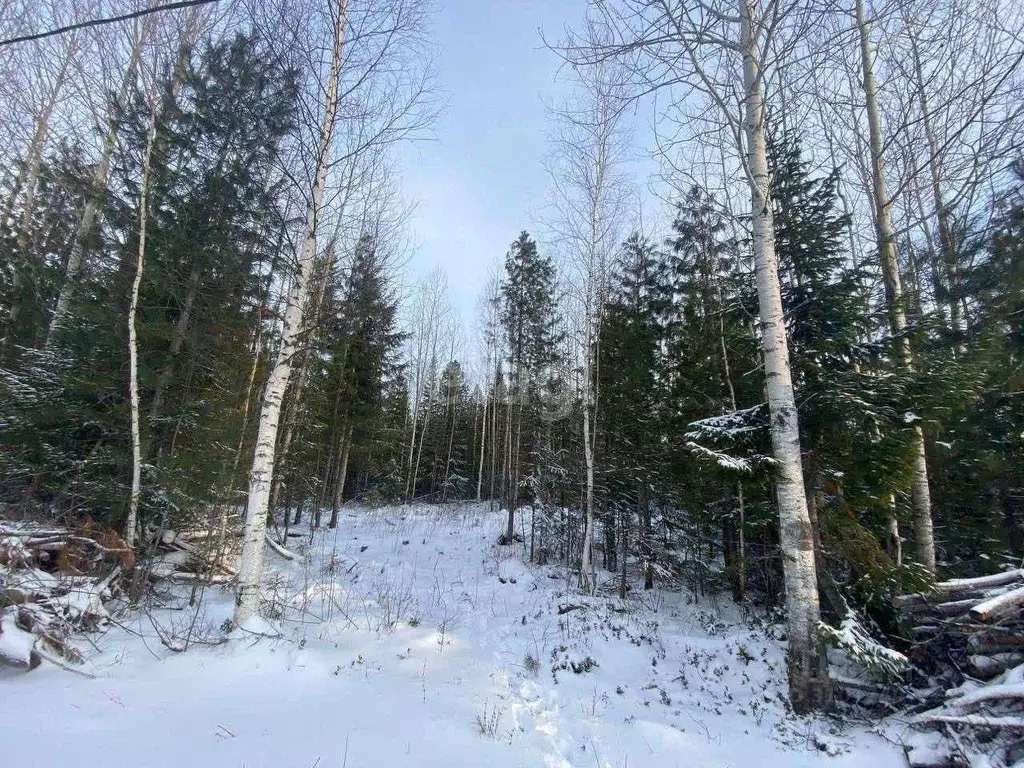 Участок в Ханты-Мансийский АО, Ханты-Мансийск Мир СОНТ,  (8.5 сот.) - Фото 1