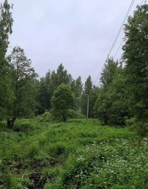 Участок в Ленинградская область, Приозерский район, пос. Сосново  ... - Фото 2