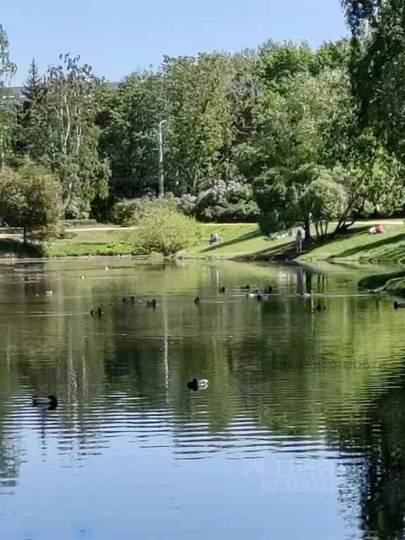 3-к кв. Санкт-Петербург ул. Орбели, 25К3 (56.2 м) - Фото 1