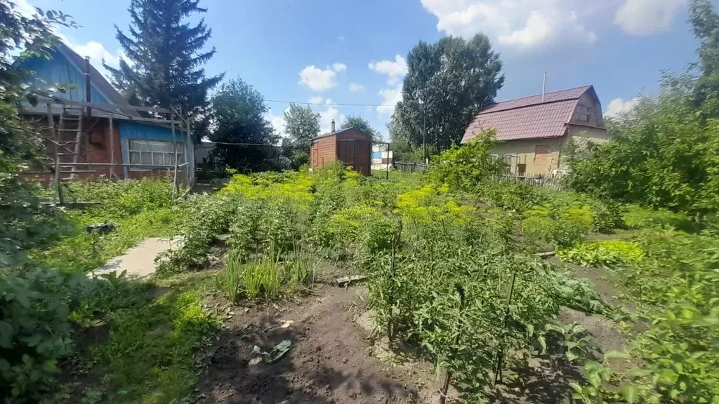 Дом в Омская область, Омск СОСН Строитель-3 тер.,  (20 м) - Фото 1