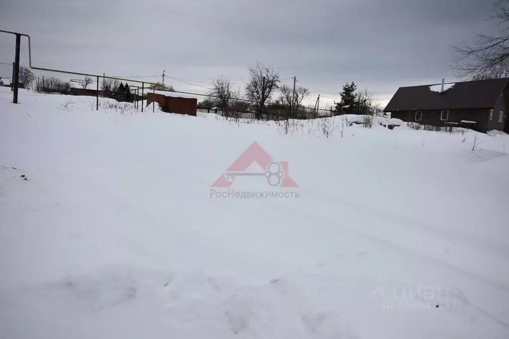 Участок в Владимирская область, Кольчугинский район, Раздольевское ... - Фото 1