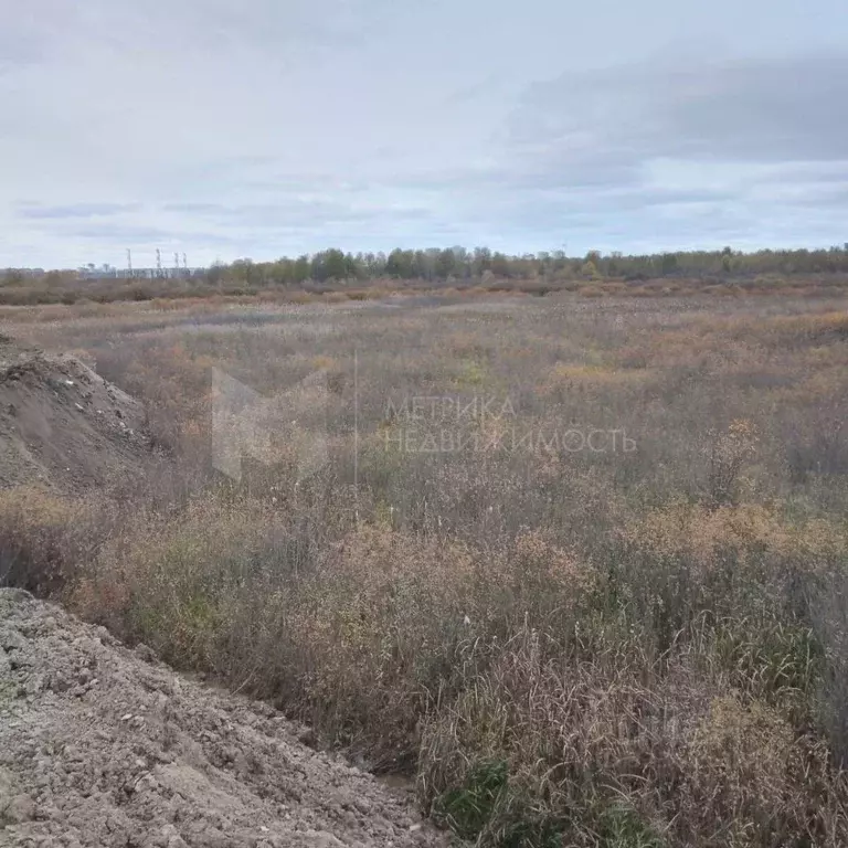 Участок в Тюменская область, Тюмень ул. Давыдова (10.9 сот.) - Фото 1