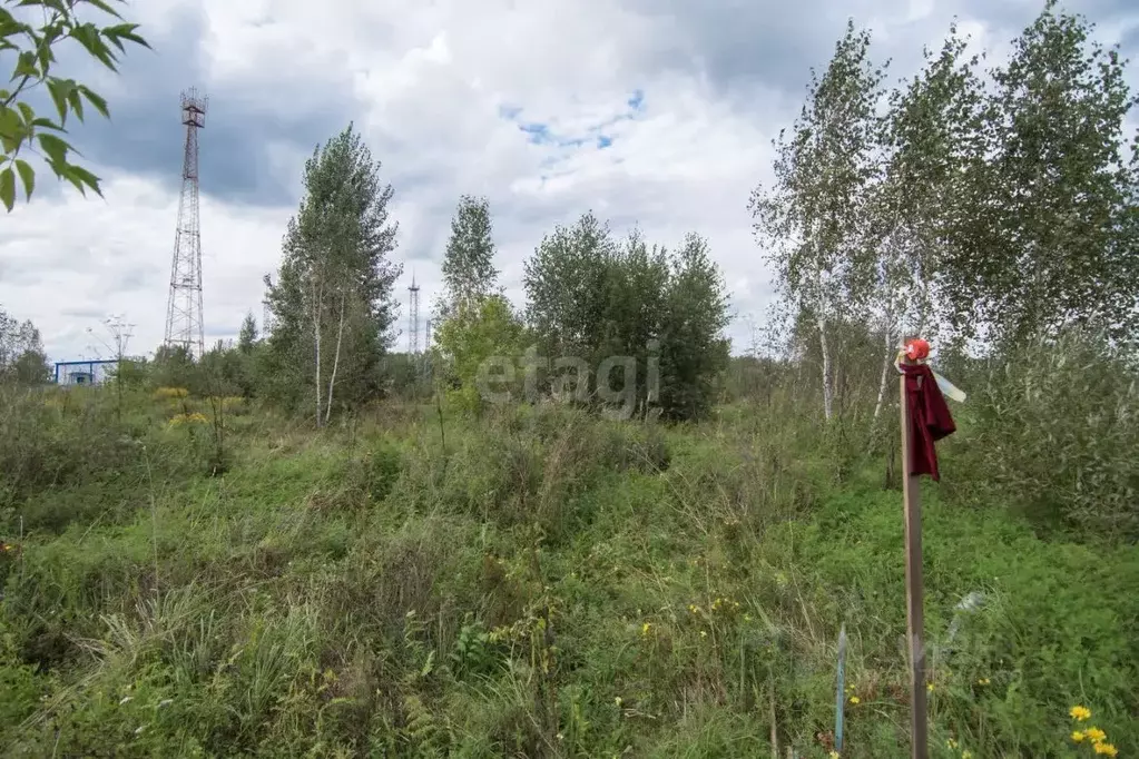 Участок в Новосибирская область, Искитимский район, с. Морозово ул. ... - Фото 0