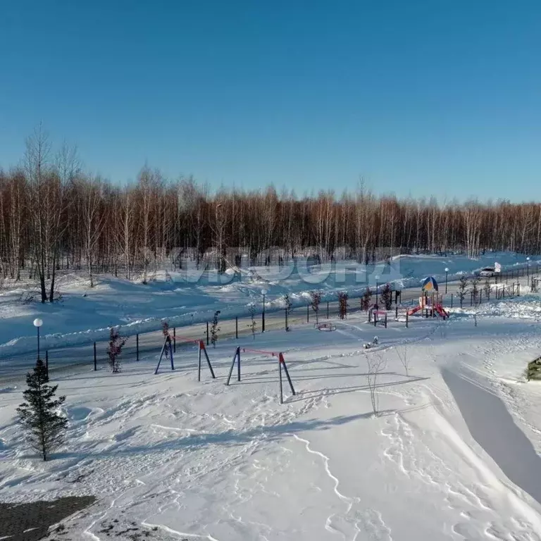 3-к кв. Новосибирская область, Мошковский район, пос. Октябрьский ул. ... - Фото 2