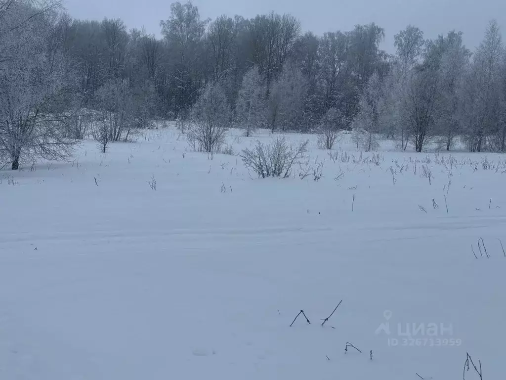 Участок в Московская область, Клин городской округ, д. Ковылино  (12.0 ... - Фото 2