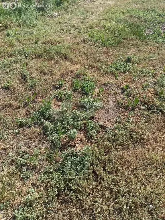 Участок в Оренбургский район, Сергиевский сельсовет, село Приютово, ... - Фото 1