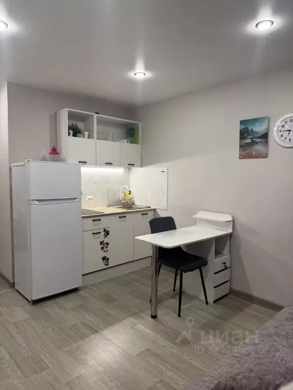 Студия Пермский край, Пермь Краснофлотская ул., 32 (21.0 м) - Фото 2