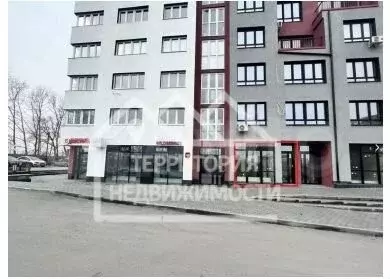 Помещение свободного назначения 63кв.м ул.Виктора Тимофеева 10 - Фото 0